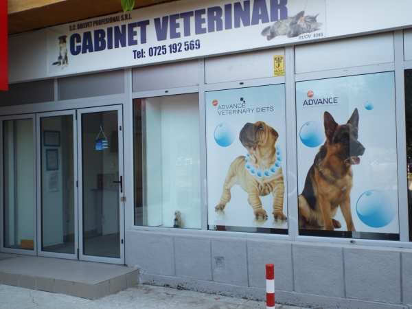 CABINET VETERINAR DAILVET PROFESIONAL