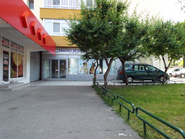 CABINET VETERINAR DAILVET PROFESIONAL