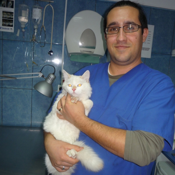 Cabinet veterinar Sanovet Ploiesti 9 mai