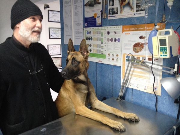 Cabinet veterinar Sanovet Ploiesti 9 mai