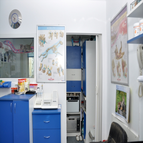 Cabinet veterinar Sanovet Ploiesti 9 mai