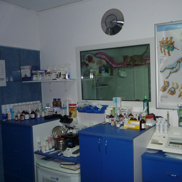 Cabinet veterinar Sanovet Ploiesti 9 mai