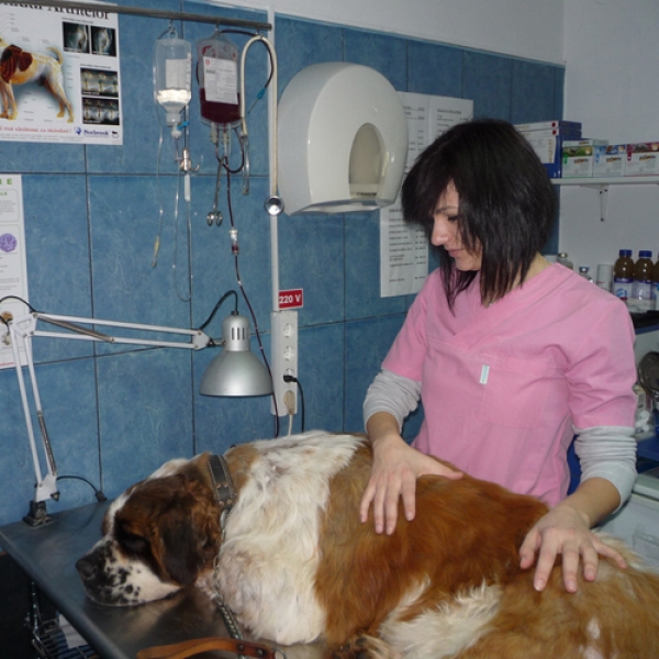 Cabinet veterinar Sanovet Ploiesti 9 mai