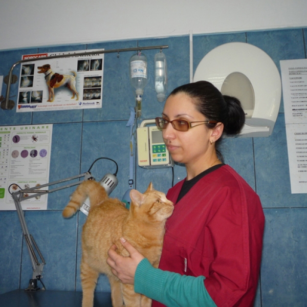 Cabinet veterinar Sanovet Ploiesti 9 mai
