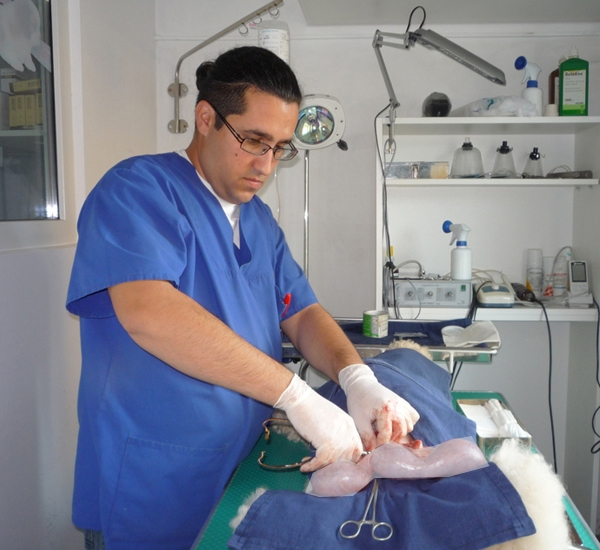 Cabinet veterinar Sanovet Ploiesti 9 mai