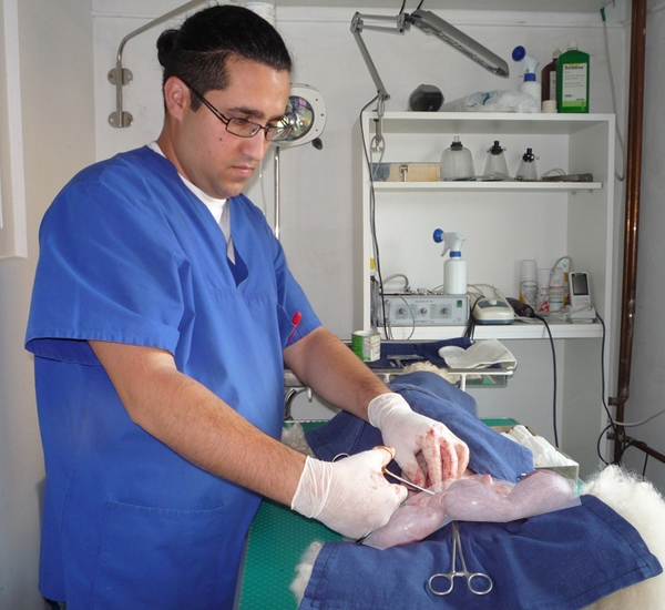 Cabinet veterinar Sanovet Ploiesti 9 mai