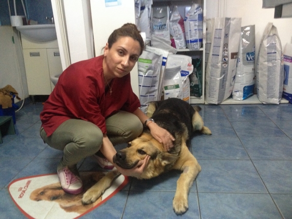 Cabinet veterinar Sanovet Ploiesti 9 mai