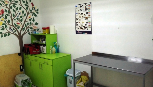 Cabinet Veterinar Predescu Bogdan