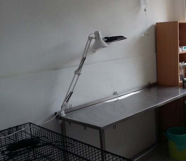 Cabinet Veterinar Predescu Bogdan