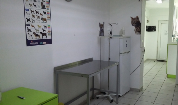 Cabinet Veterinar Predescu Bogdan