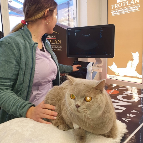 Cabinet veterinar Ploiesti - FirstVet Medical